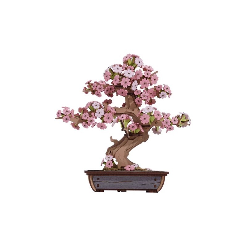 Sakura Bonsai