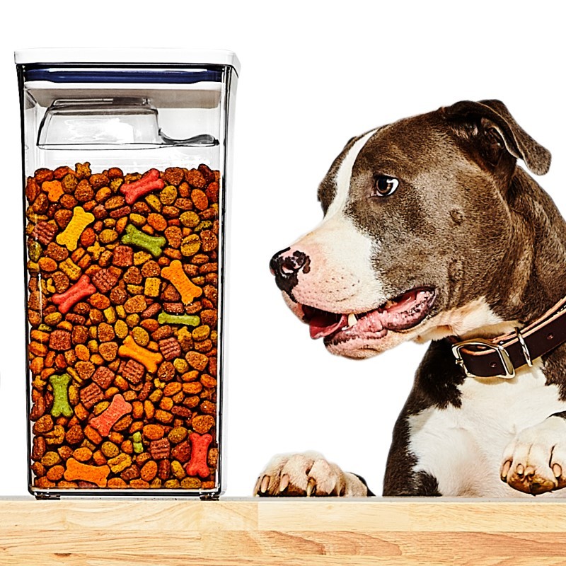 GG Pet Pop Container - Big Square Tall - 6.0 Qt With Half Scoop