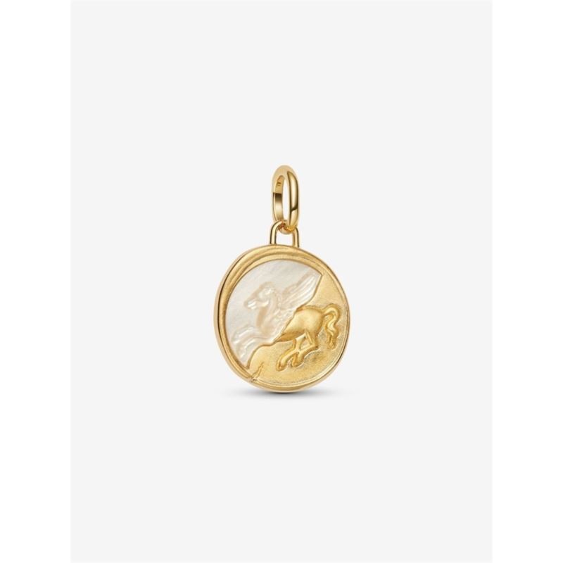 Pegasus Medallion Charm